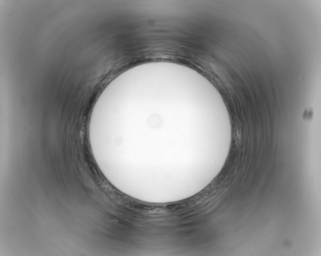 X0000093150551200710241405