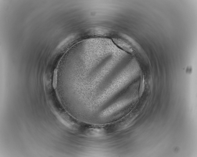 X0000093150552200710241405