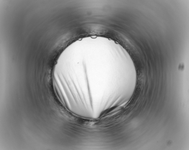 X0000093150554200710241405