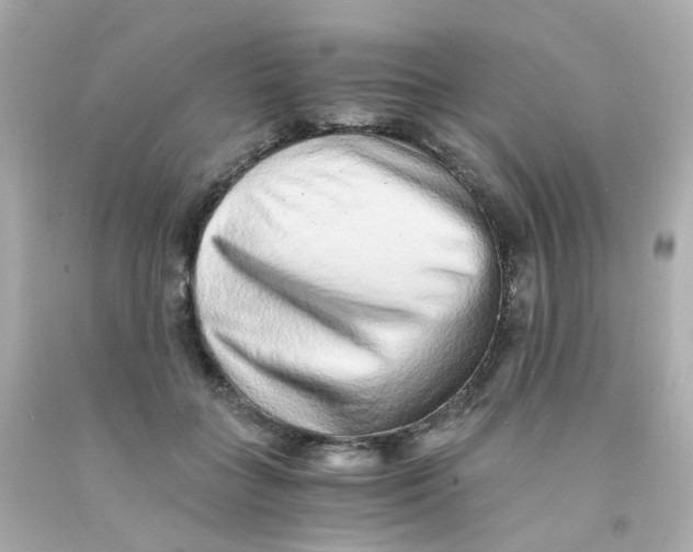 X0000093150555200710241405