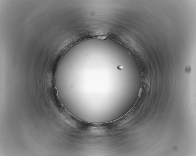 X0000093150556200710241405