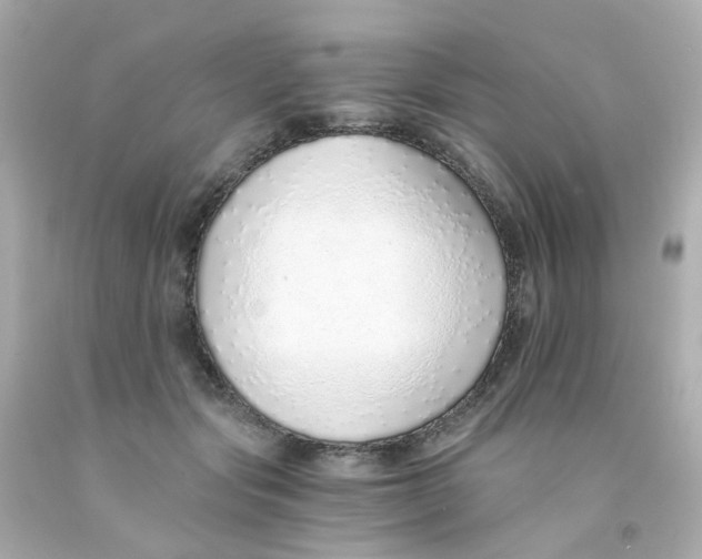 X0000093150557200710241405