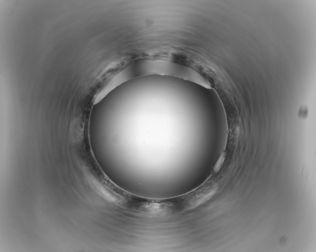 X0000093150558200710241405