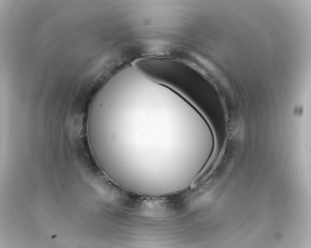 X0000093150560200710241405