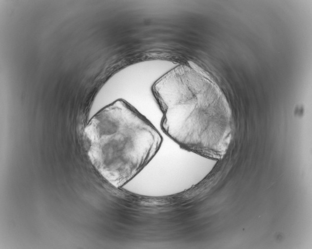 X0000093150561200710241405