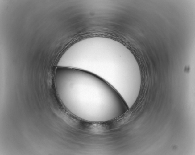 X0000093150562200710241405