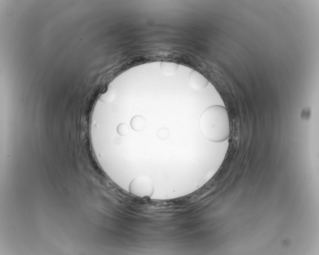 X0000093150563200710241405