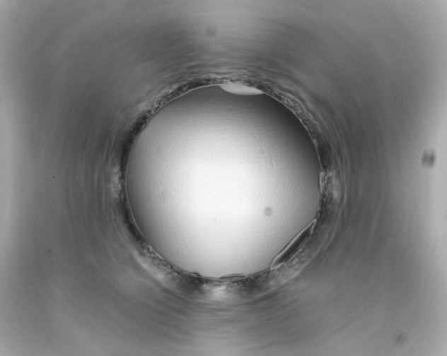 X0000093150564200710241405