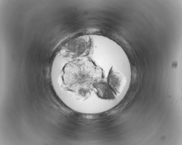 X0000093150565200710241405