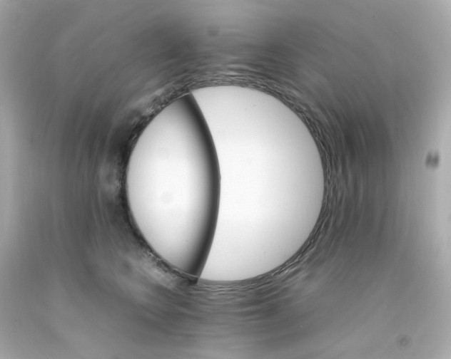 X0000093150566200710241405