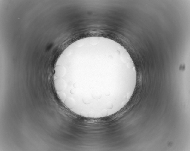 X0000093150567200710241405