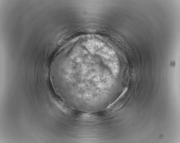 X0000093150568200710241405