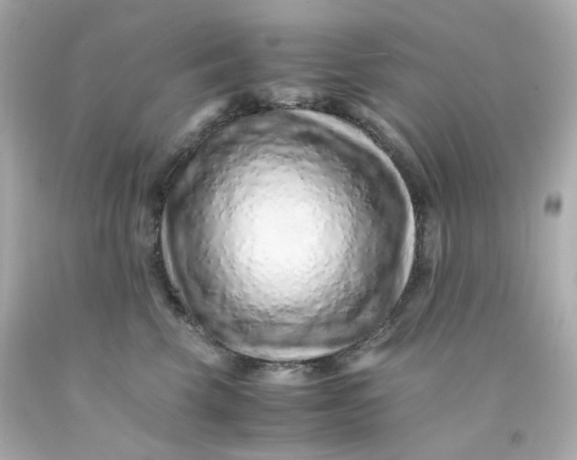 X0000093150569200710241405