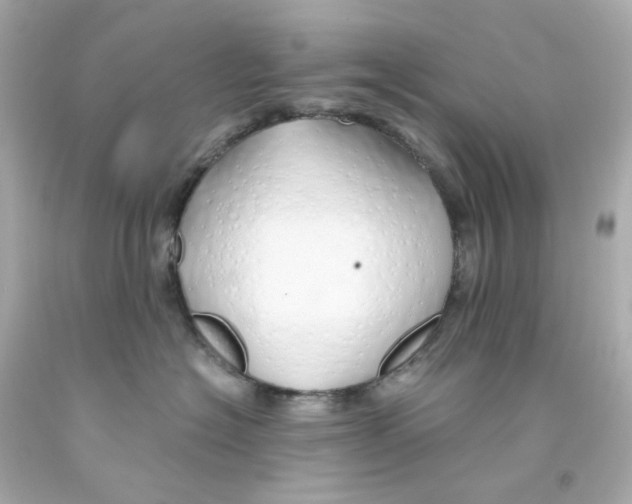 X0000093150574200710241405