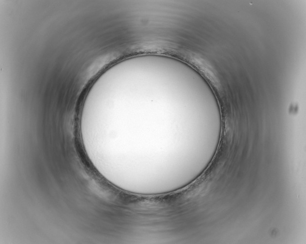 X0000093150578200710241404