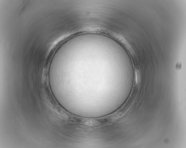 X0000093150579200710241404