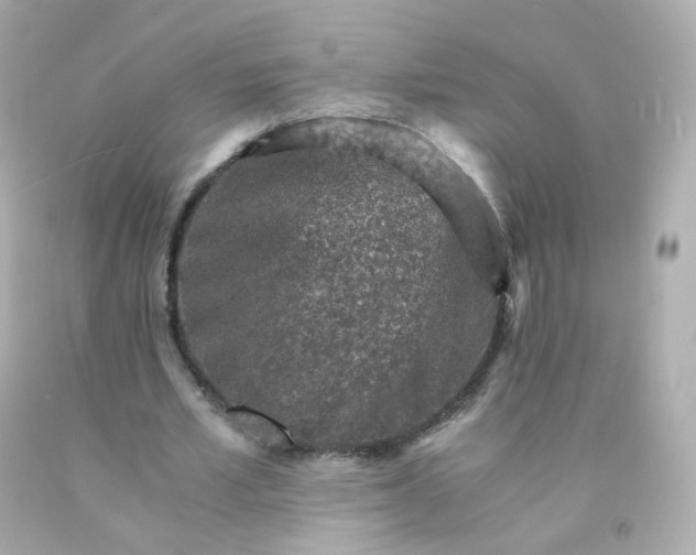 X0000093150581200710241404