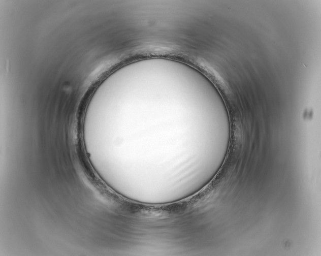 X0000093150582200710241404