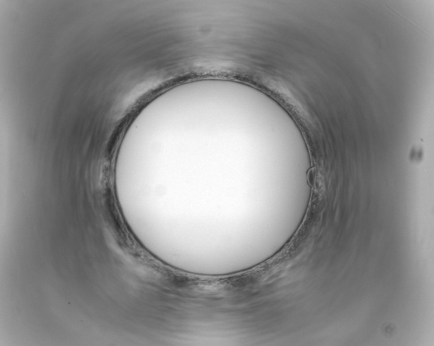 X0000093150583200710241404