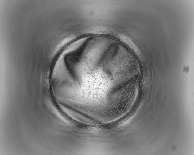 X0000093150585200710241404