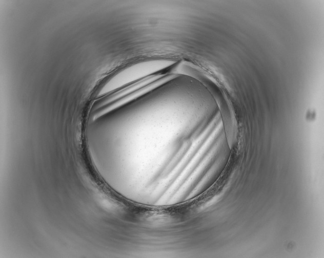 X0000093150589200710241404