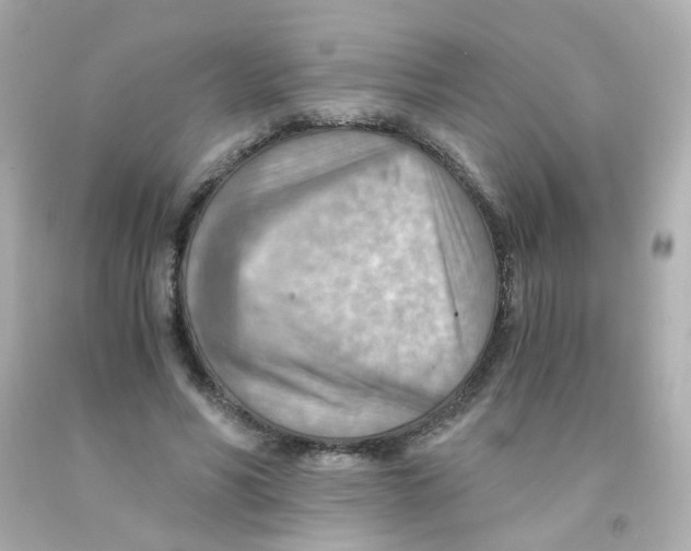 X0000093150590200710241404