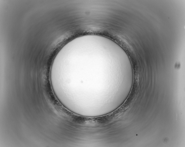 X0000093150591200710241404