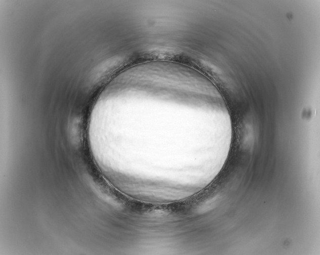 X0000093150594200710241404