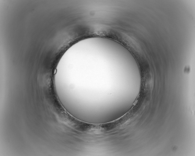 X0000093150595200710241404