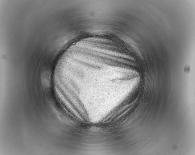 X0000093150596200710241404