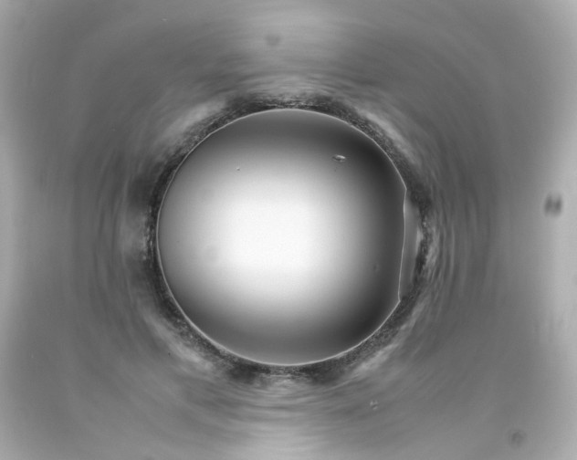 X0000093150597200710241404