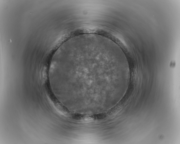 X0000093150598200710241404