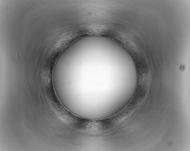 X0000093150599200710241404