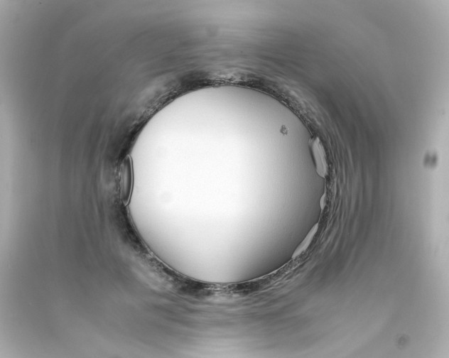 X0000093150601200710241404