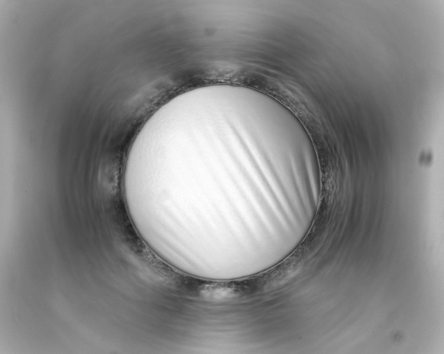 X0000093150602200710241404