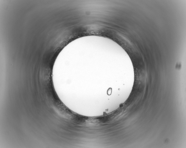 X0000093150603200710241404