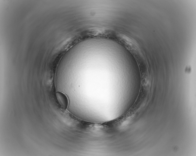 X0000093150607200710241404