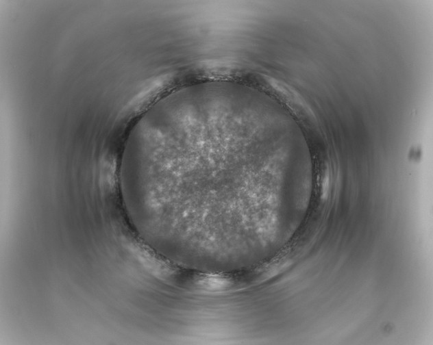 X0000093150610200710241404