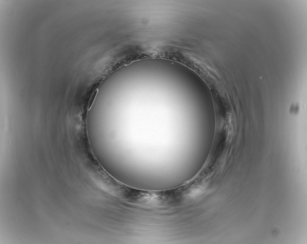 X0000093150611200710241404