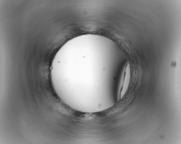 X0000093150612200710241404