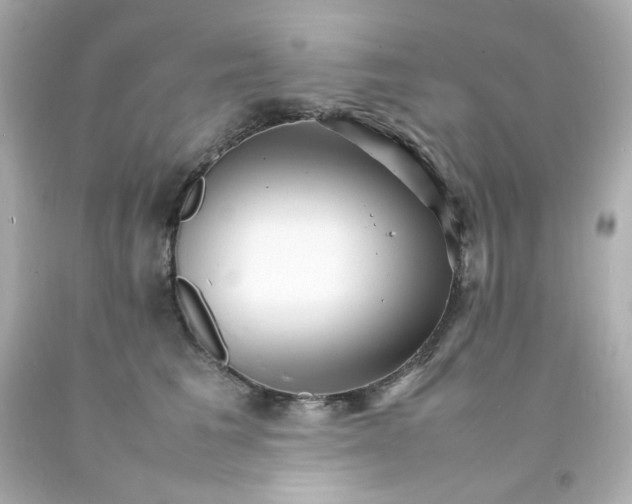 X0000093150613200710241404