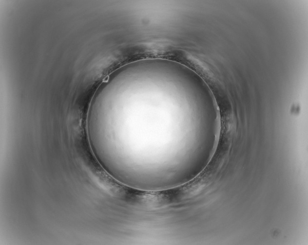 X0000093150615200710241404