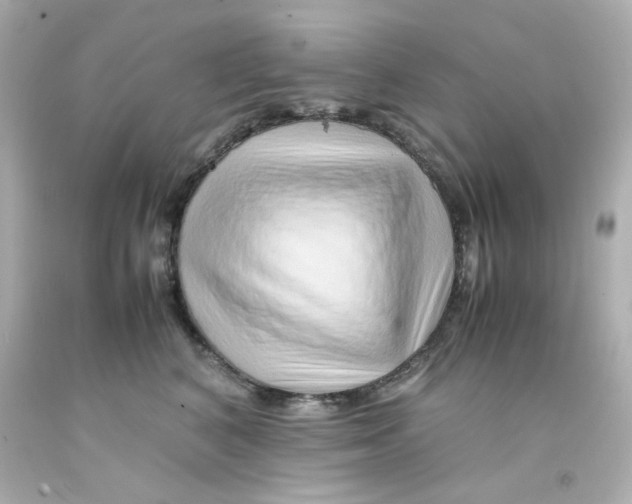 X0000093150616200710241404