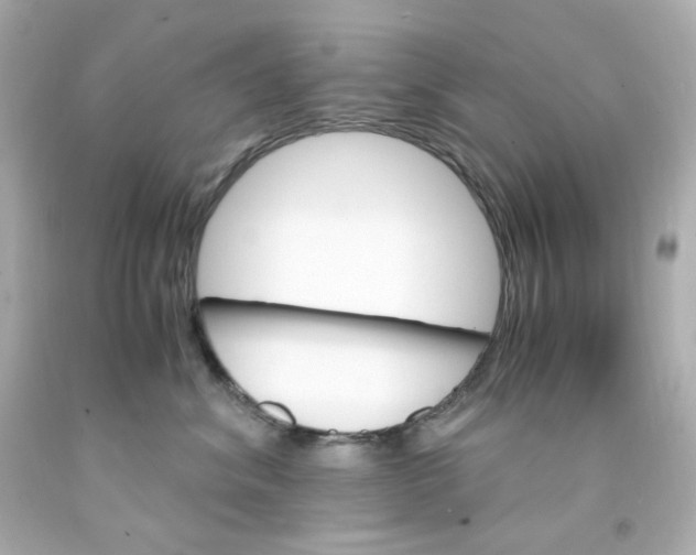 X0000093150620200710241404