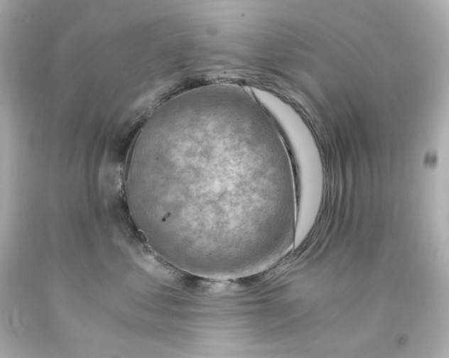 X0000093150621200710241404