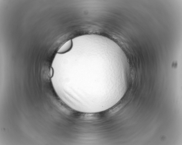 X0000093150622200710241404