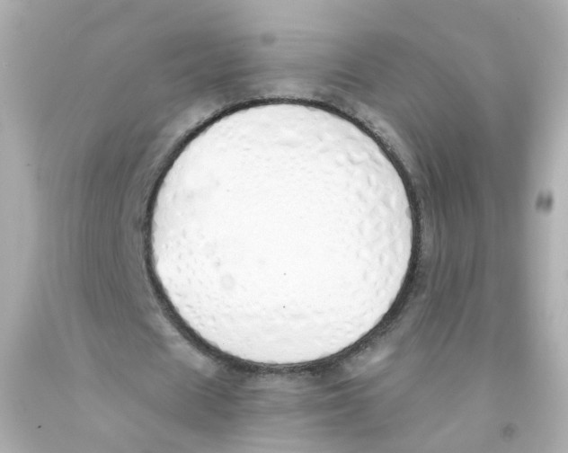 X0000093150625200710241403