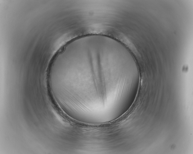 X0000093150626200710241403