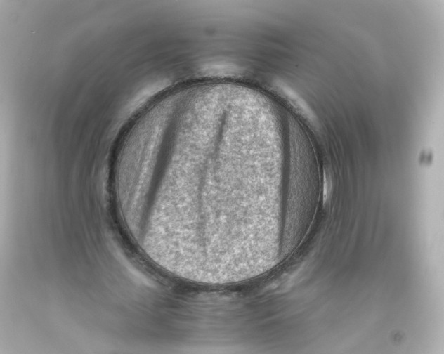 X0000093150627200710241403