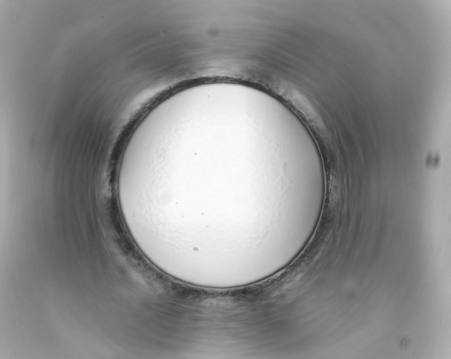 X0000093150628200710241403